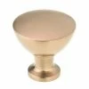 Richelieu Hardware Acadia Collection 1-5/16 in. (34 mm) Champagne Bronze Contemporary Cabinet Knob -Copper Creek Shop richelieu hardware cabinet knobs bp872034chbrz 64 1000